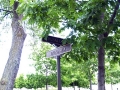 Bathurst_Lawn_Memorial_Park (9)