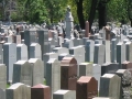 Dawes_Road_Cemetery (3)