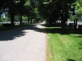 Dawes_Road_Cemetery (5)