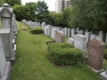 Jones_Avenue_Cemetery (6)