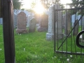 Lambton_Hills_Cemetery (1)