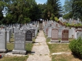 Lambton_Hills_Cemetery (6)