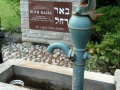 Pardes_Shalom_Cemetery (3)