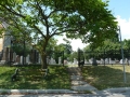 Roselawn_Cemetery (11)